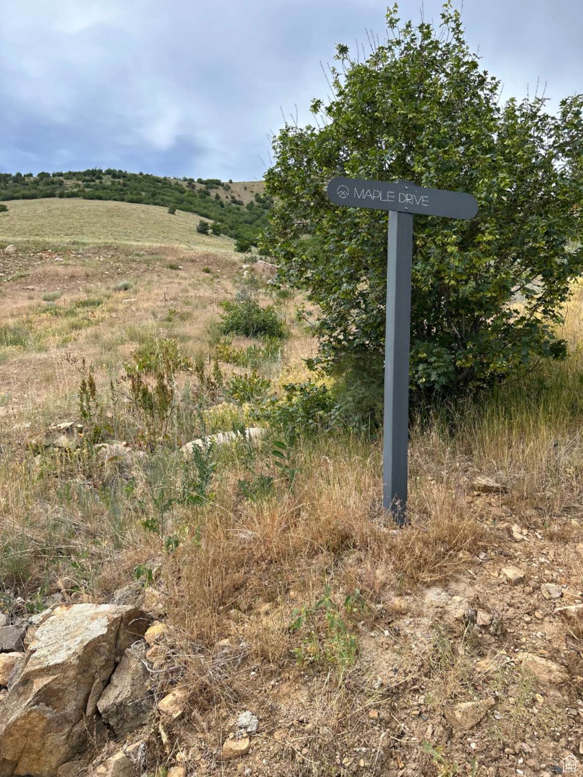 Huntsville, UT 84317,1331 N MAPLE DR #99