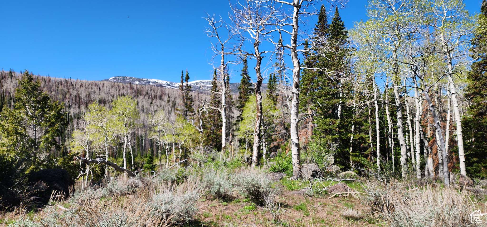 #13, Annabella, UT 84711