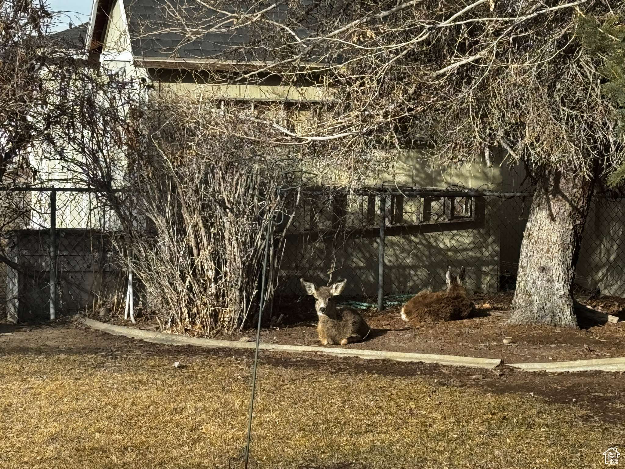 Grantsville, UT 84029,500 W CLARK ST S