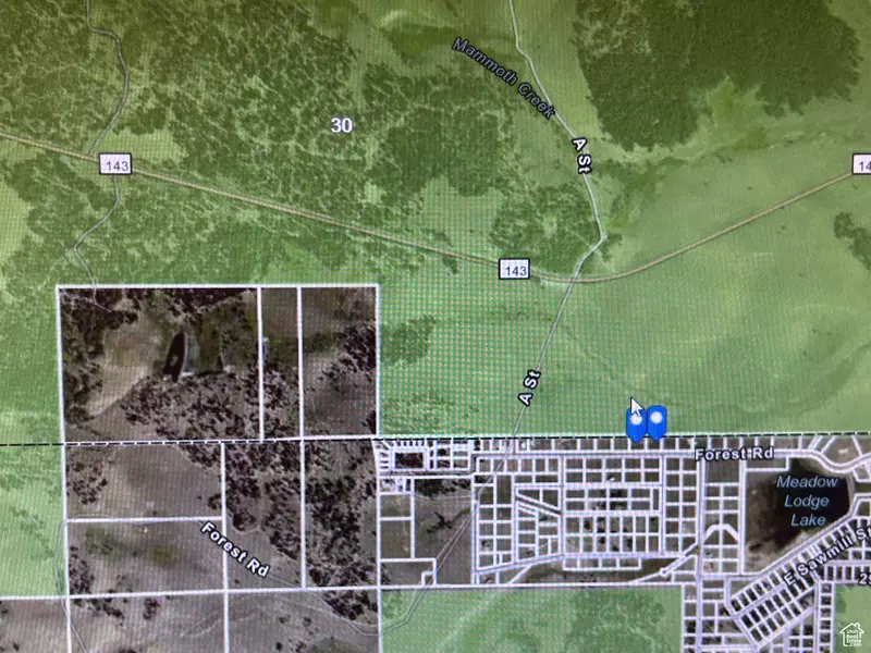 2459 E MEADOW LAKE DR, Brian Head, UT 84719