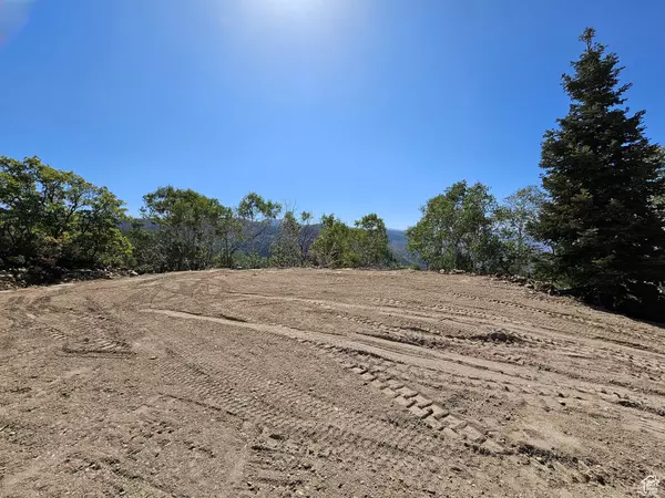 Fairview, UT 84629,40 DEER VALEY DR #K40