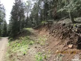 Mt Pleasant, UT 84647,38 PINE CREEK RD #A38