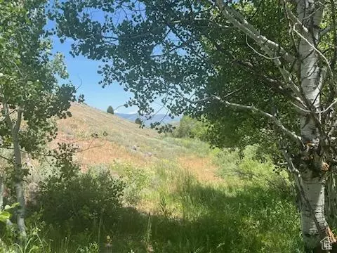 Montpelier, ID 83254,MILES CYN #1&2