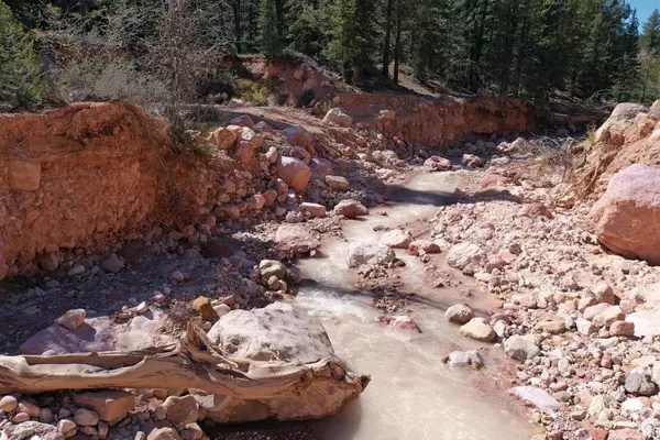Cedar City, UT 84720