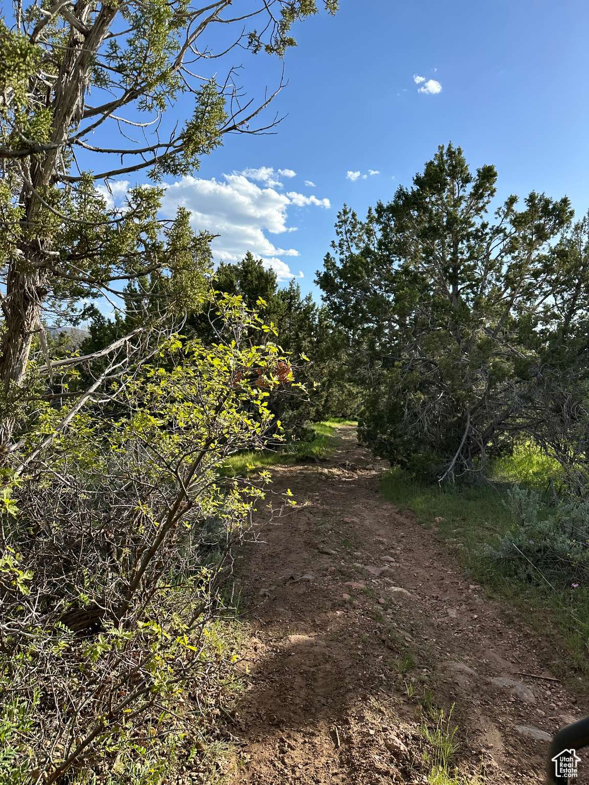 Fillmore, UT 84631,1700 E 200 S