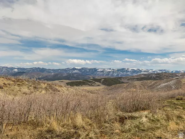 Indianola, UT 84629,17 N BIG HOLLOW DR #17
