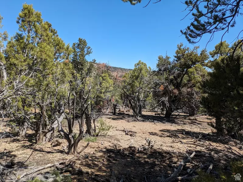 0 S 39300 W #58, Fruitland, UT 84027
