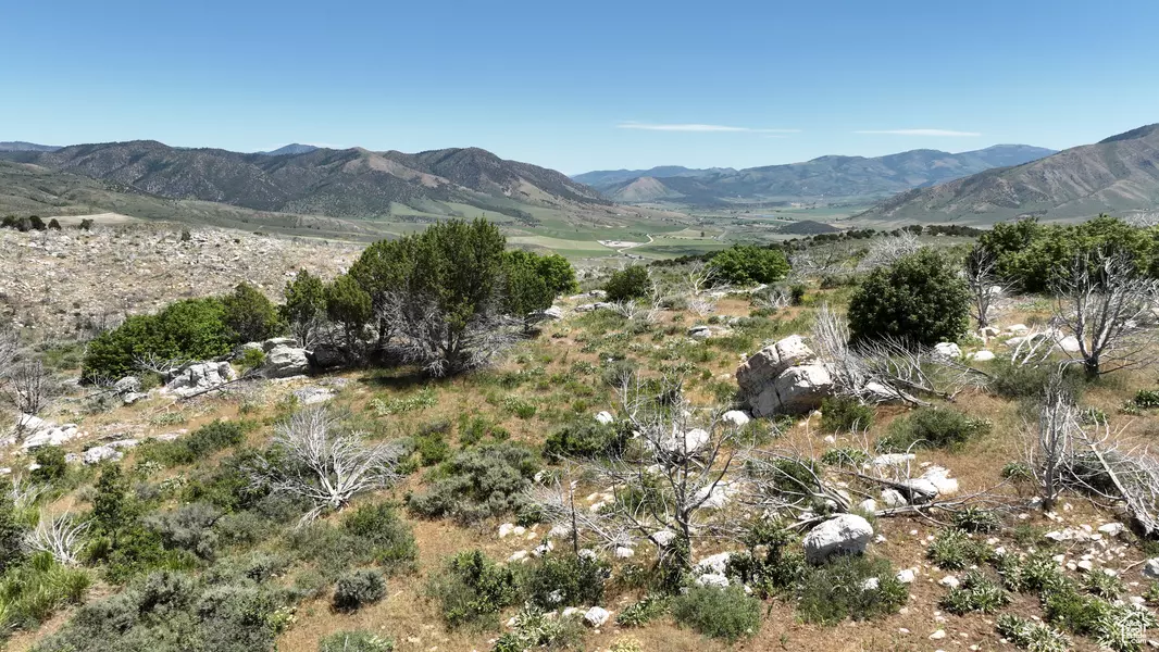 Mccammon, ID 83250