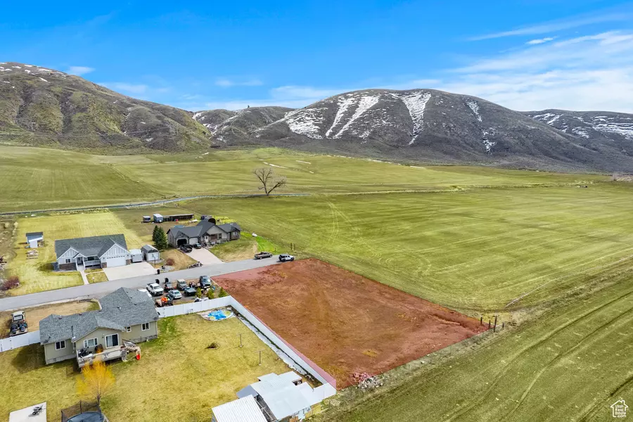 1205 MOOSE LOOP, Montpelier, ID 83254