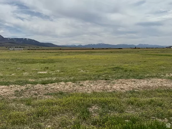 Fillmore, UT 84631,1565 W SUNFLOWER LN #3