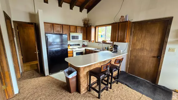 Beaver, UT 84713,482 PONDEROSA DR