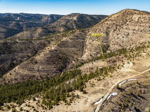 Duchesne, UT 84021,ARGYLE RD #221 C