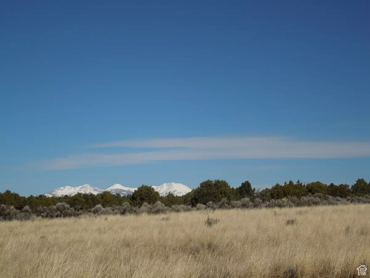 Monticello, UT 84535,20 W SUNRISE COUNTRY RD #20