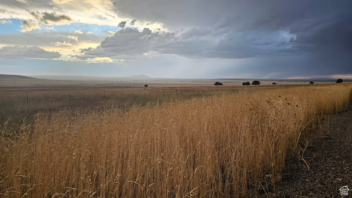 Fillmore, UT 84631,2835 N N CEDAR MOUNTAIN RD
