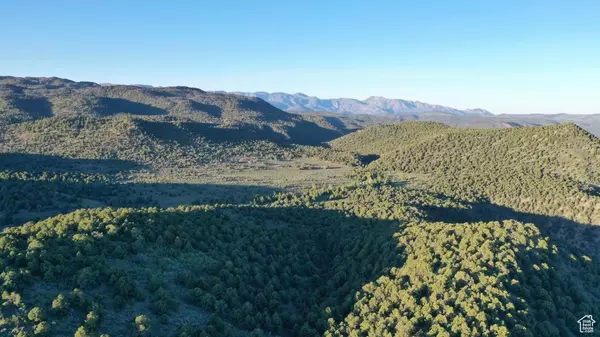 Pine Valley, UT 84781