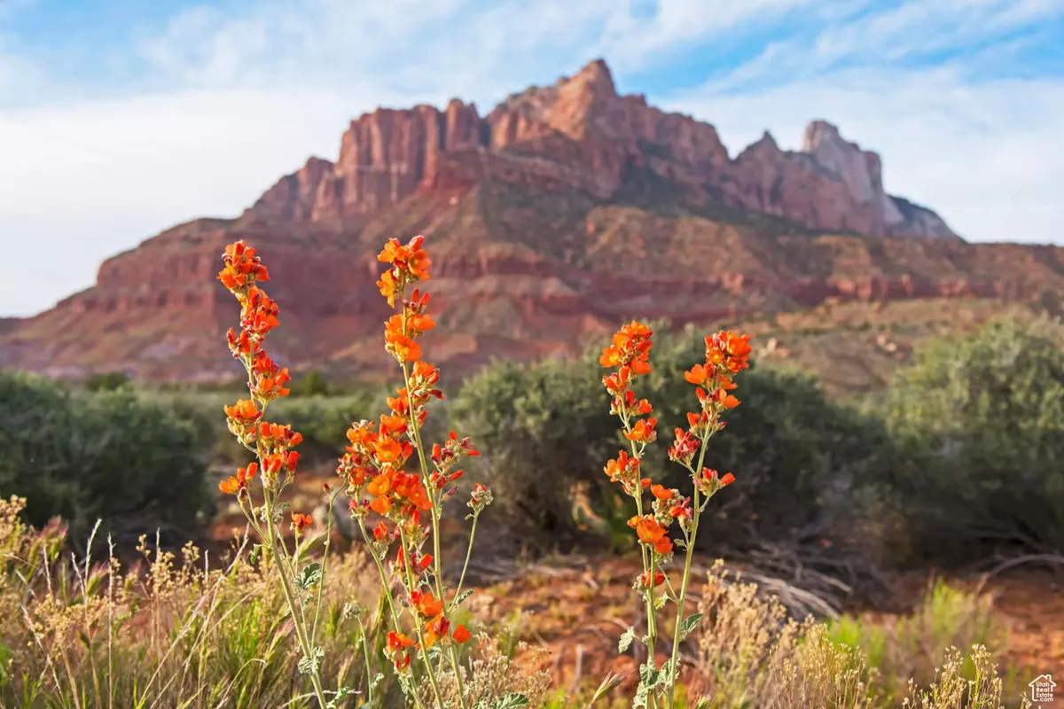 Springdale, UT 84767,2538 ANASAZI WAY #58