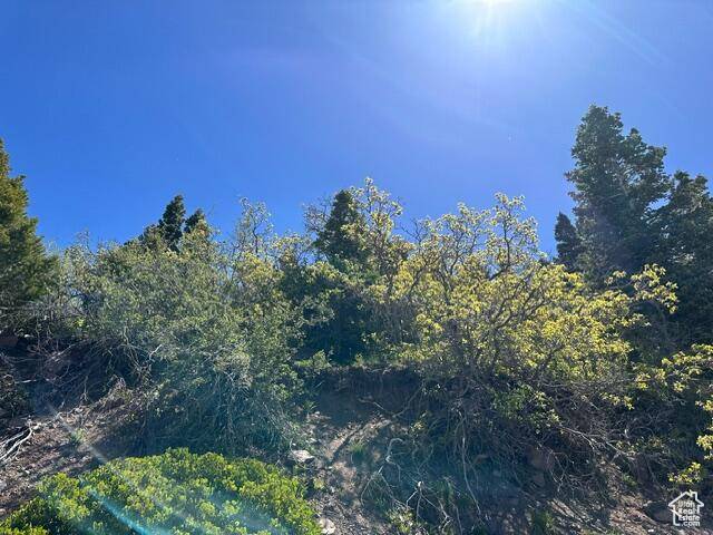 Summit, UT 84772,4280 S DEEP DR #29