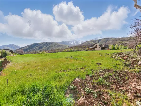 Springville, UT 84663,239 SOUTH MEADOW DR #10