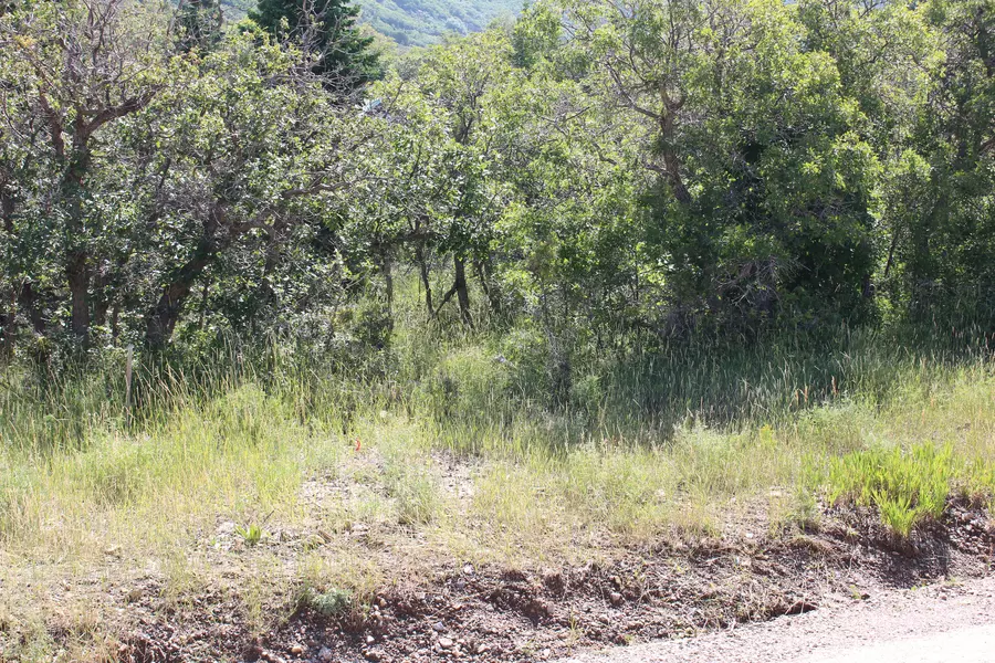 2267 S HIGH MOUNTAIN DR, Cedar City, UT 84720