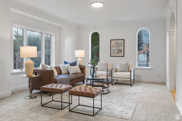 Orem, UT 84097,441 N PALISADES DR