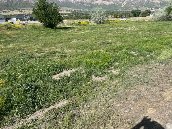Pleasant View, UT 84414,2700 N 600 W