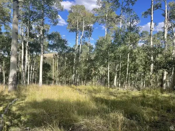 Brian Head, UT 84719,14 NAVAJO TRL #14