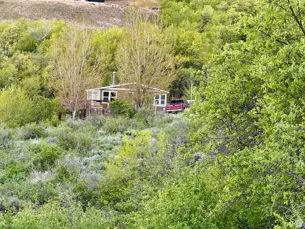 Fish Haven, ID 83287,46 ALDER CT #638