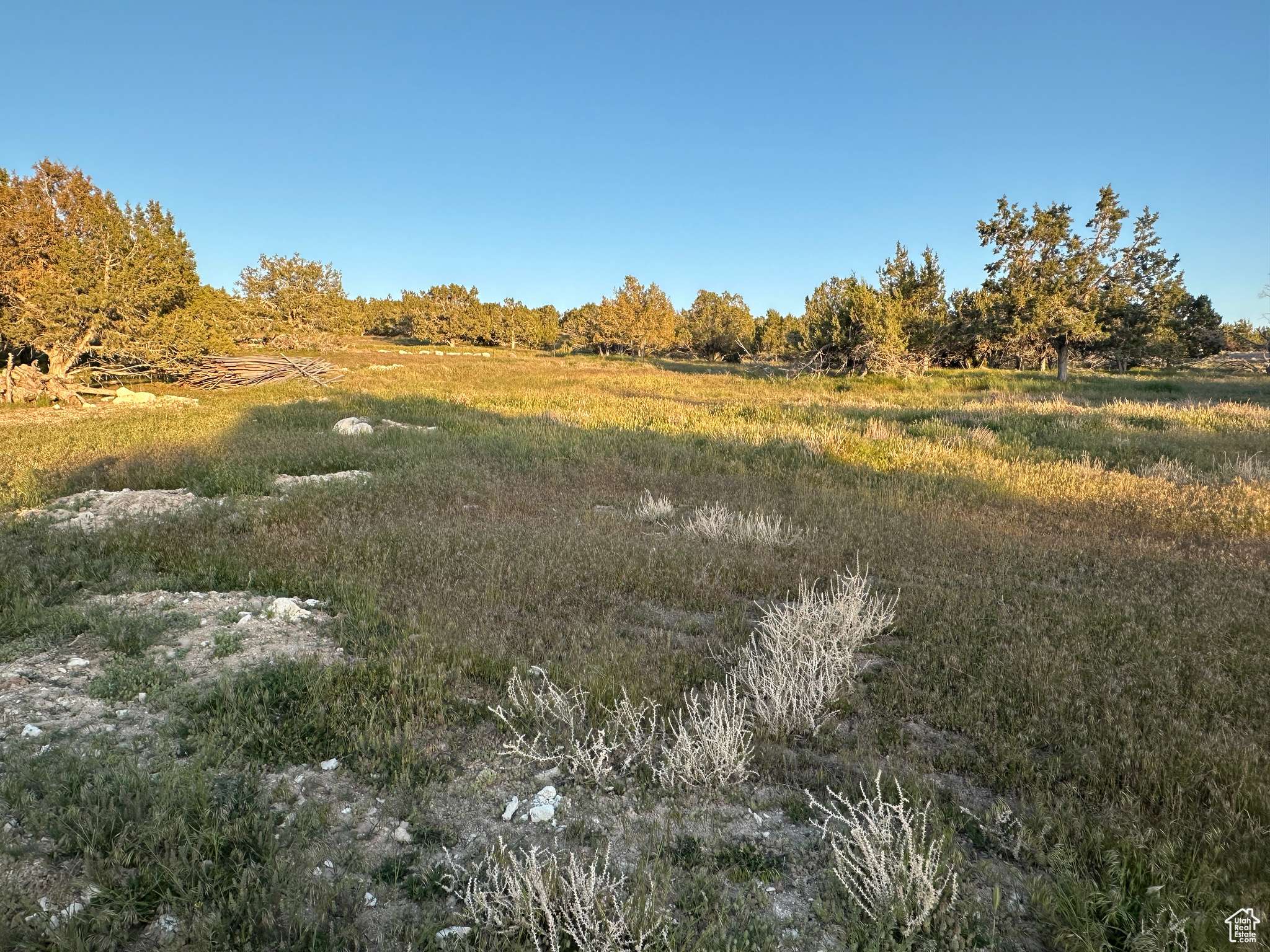 Spring City, UT 84662,13932 N 6300 E #1