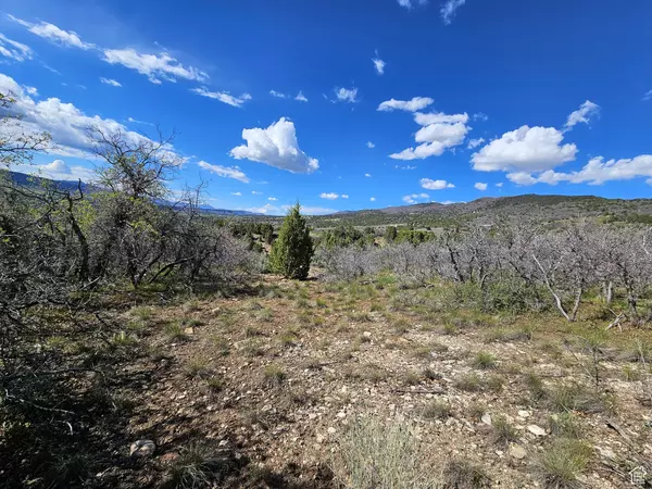 24 SPRING CREEK DR #B24, Fairview, UT 84629