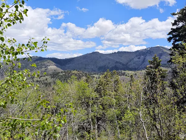 Mt Pleasant, UT 84647,27 PINE RIDGE RD #27