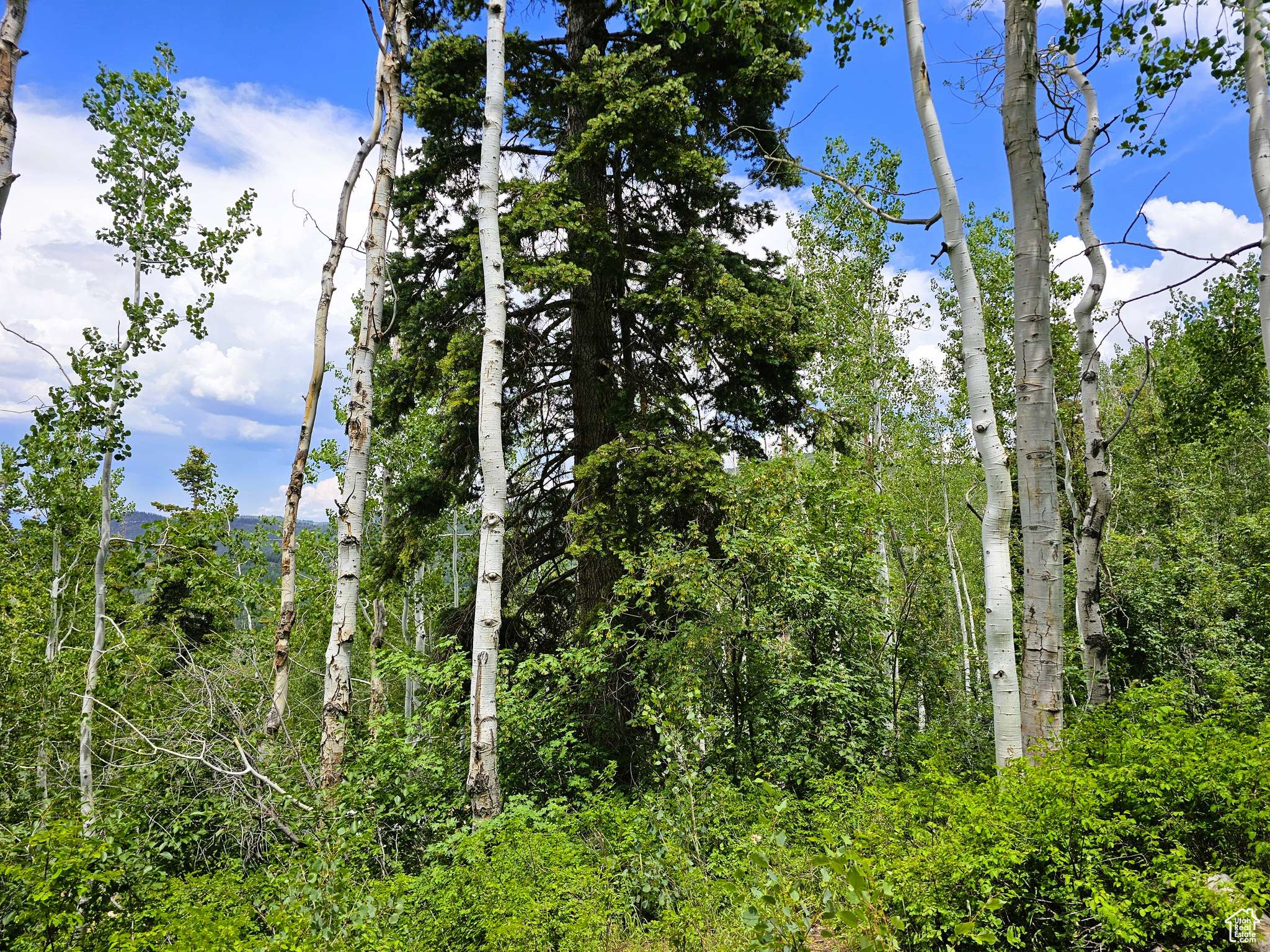Fairview, UT 84629,84 MOUNTAIN SPRINGS DR #J84
