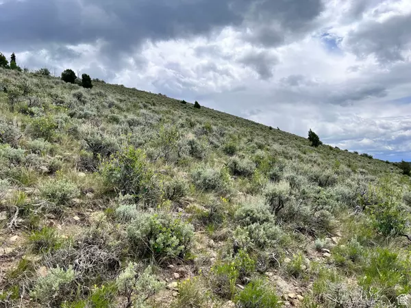 Scofield, UT 84526,#81,82