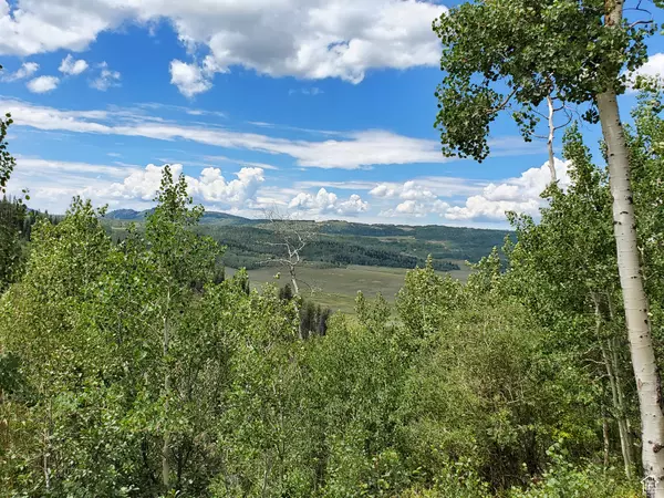 Fairview, UT 84629,103 BROOKS CANYON RD #GB 103