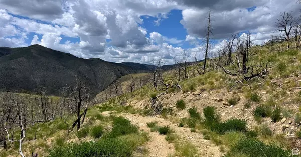 Fruitland, UT 84027,#5