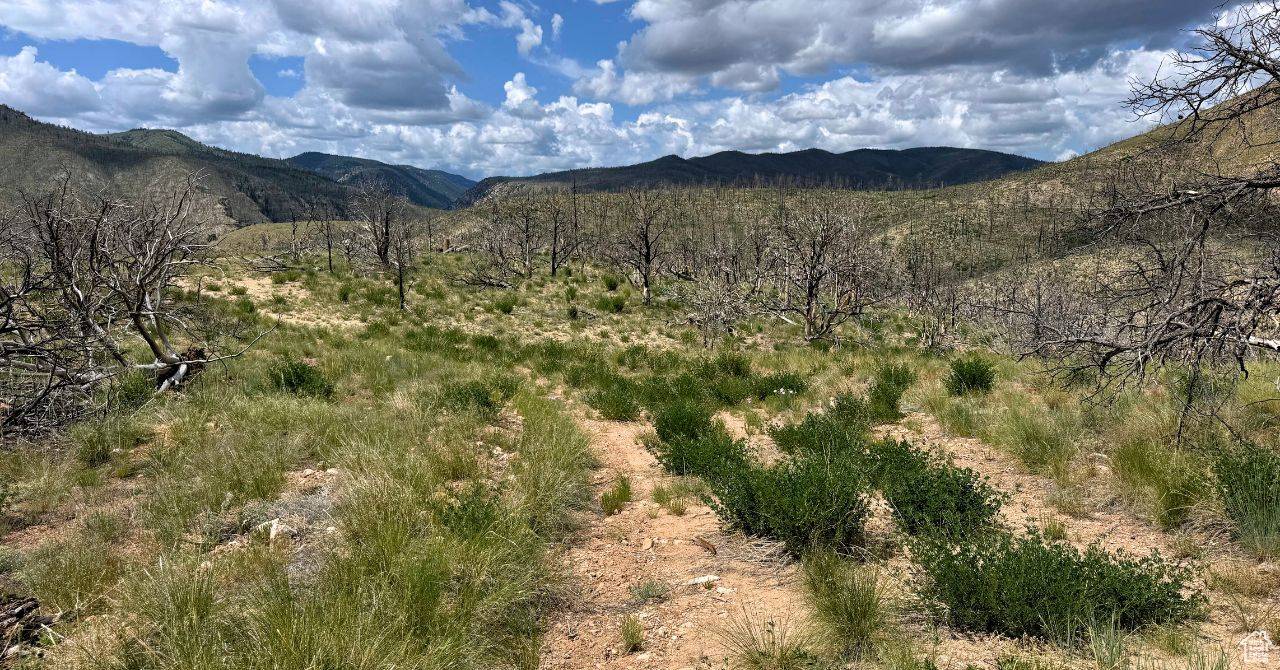 Fruitland, UT 84027,#5