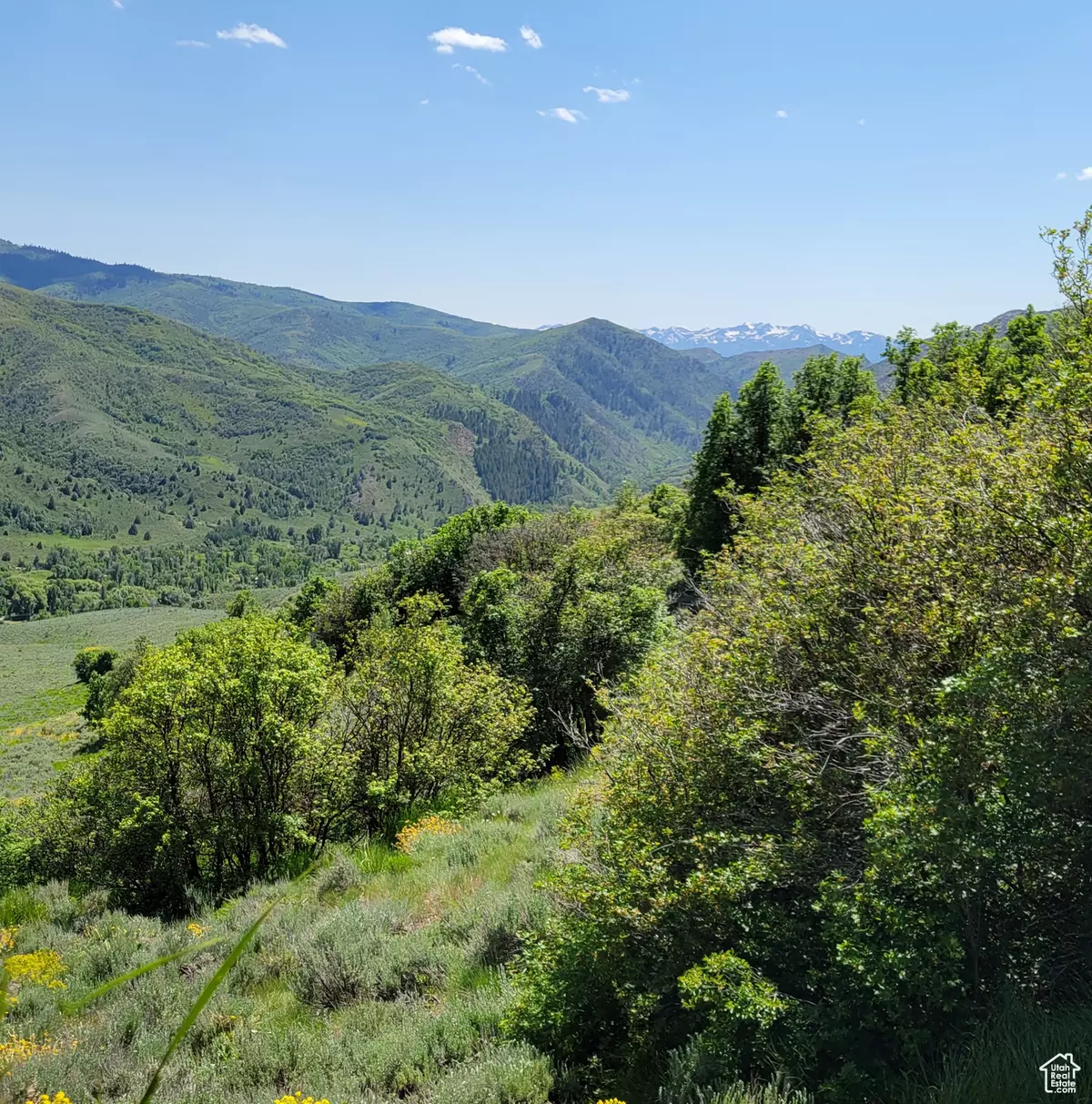 Huntsville, UT 84317,12737 E HIGH PINE CIR N #54