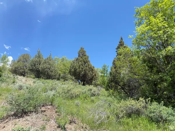 Garden City, UT 84028,1361 SWAN CREEK RD #5