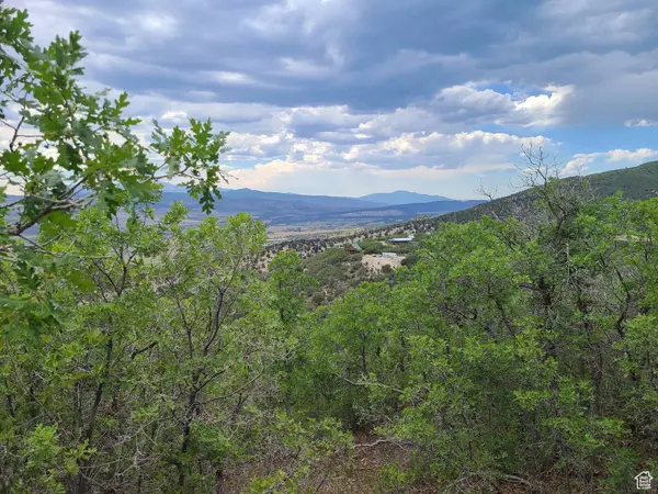 Fairview, UT 84629,5 RED FOX WAY #5