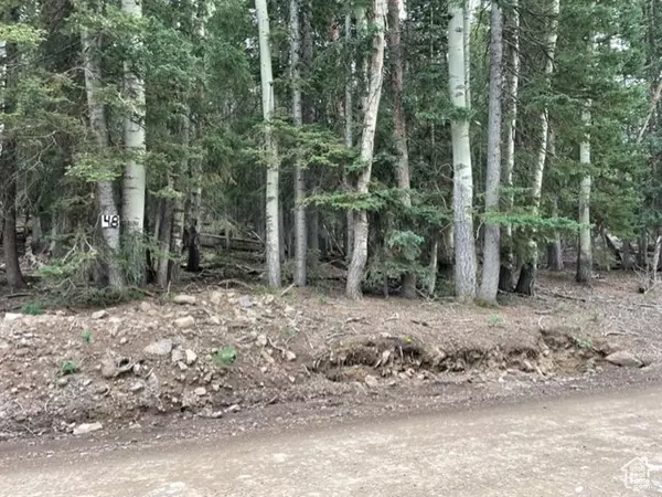 #48, Beaver, UT 84713