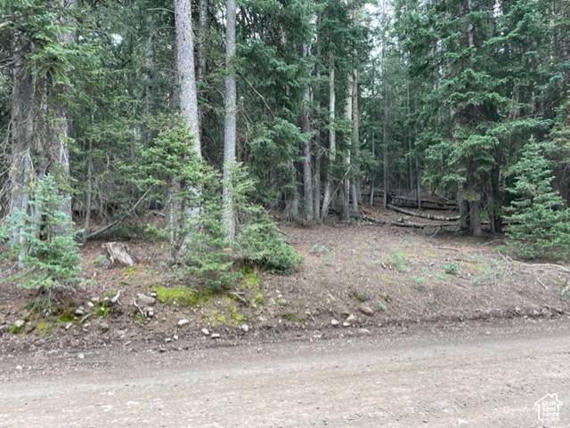 Beaver, UT 84713,#48