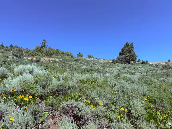 Garden City, UT 84028,1509 W CEDAR DR #18