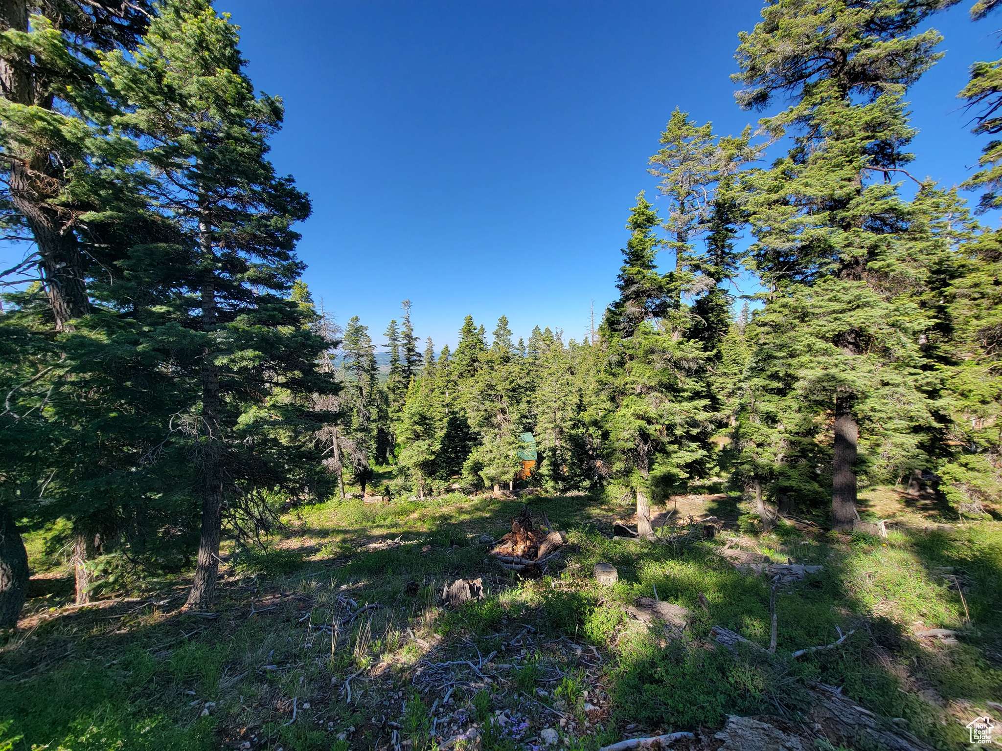 6220 W BROOK LN, Duck Creek Village, UT 84762