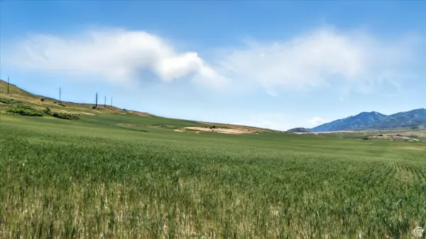 Beaverdam, UT 84306,16408 N BEAVER DAM RD