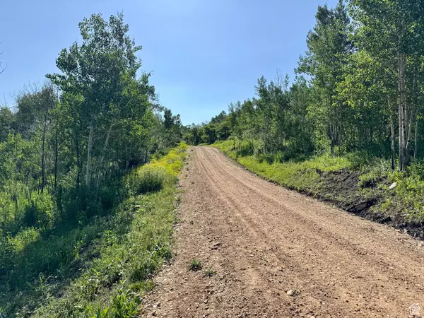 Wanship, UT 84017,218 BEAR TOOTH RIDGE RD W #26-A
