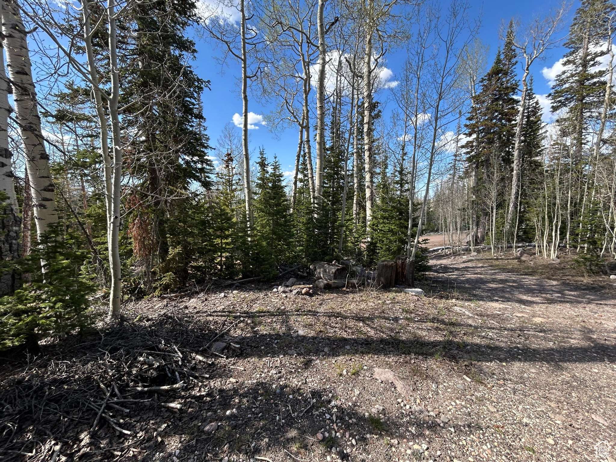 Brian Head, UT 84719,468 E TRAIL RD