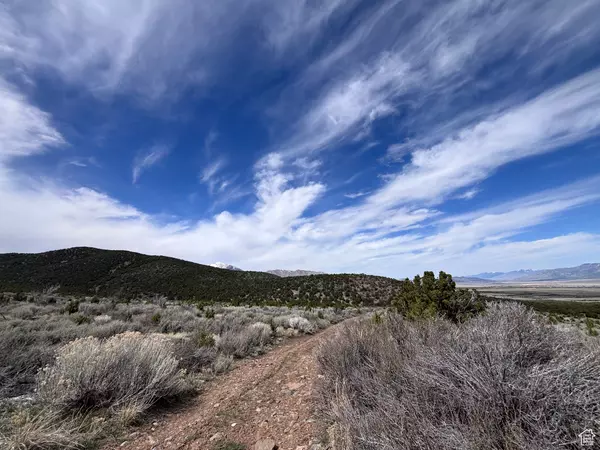 Rush Valley, UT 84069