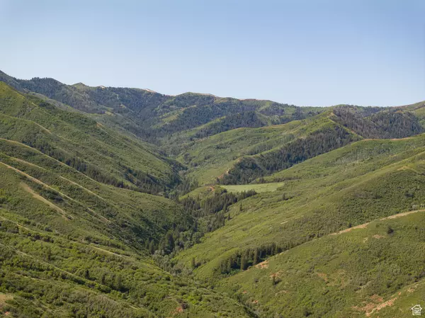 Morgan, UT 84050,5155 E CANYON RD
