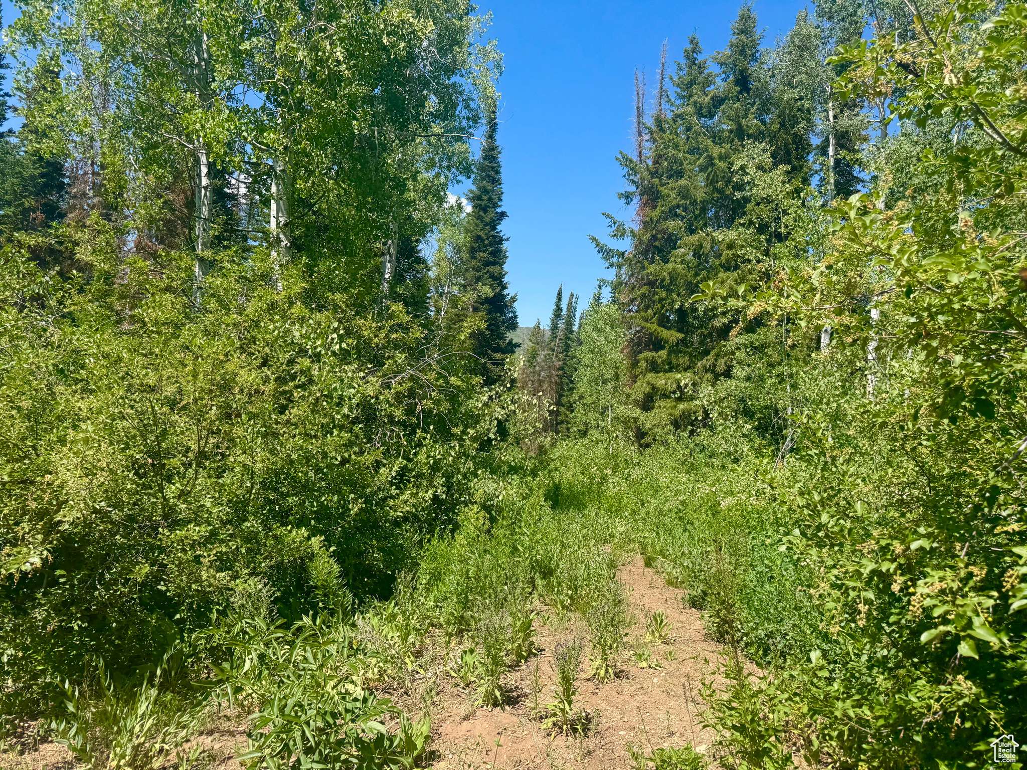 9146 N UINTA DR #509, Oakley, UT 84055