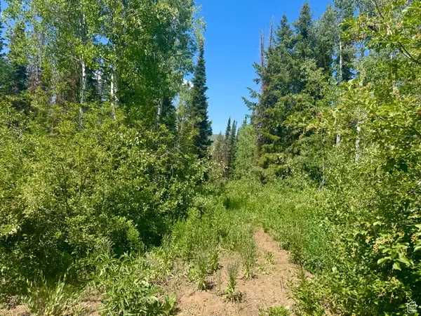Oakley, UT 84055,9146 N UINTA DR #509