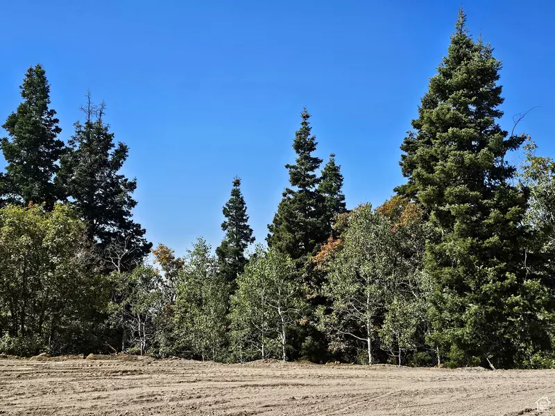 3940 DEER VALLEY DR #K39, 40, Fairview, UT 84629
